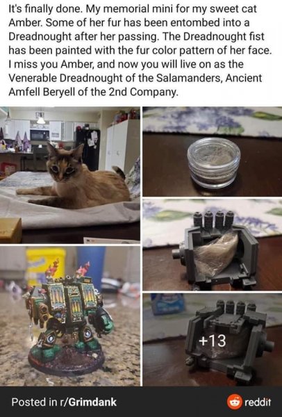 IMG-20210424-WA0000.jpg IMG-20210424-WA0000.jpg