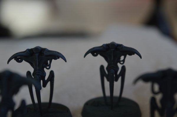 Spindle drones 4.jpg Spindle drones 4.jpg