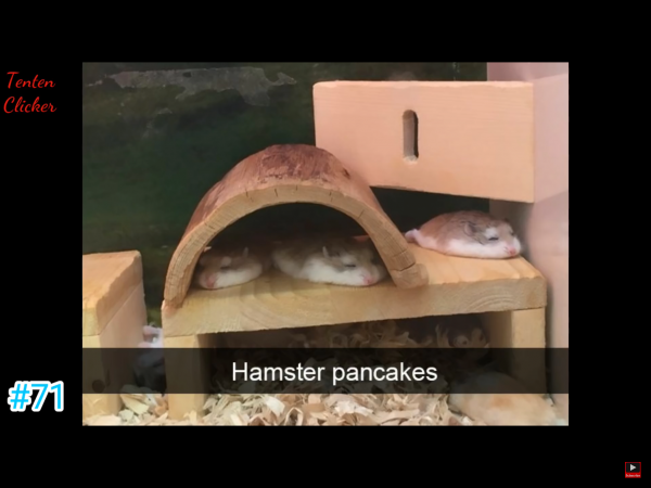 IMG_3290~photo.PNG IMG_3290~photo.PNG