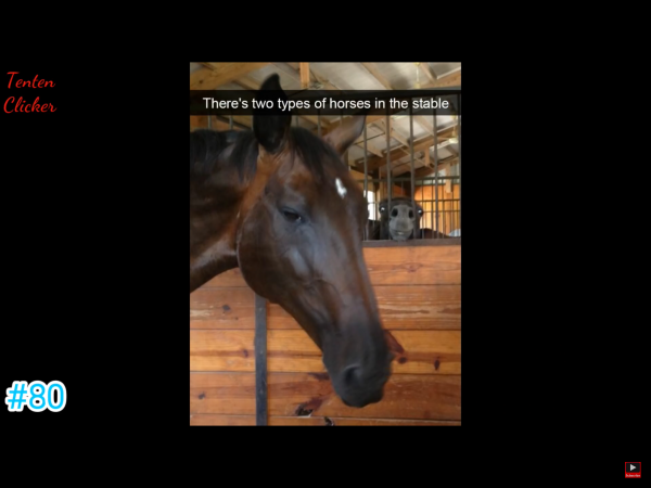 IMG_3298~photo.PNG IMG_3298~photo.PNG