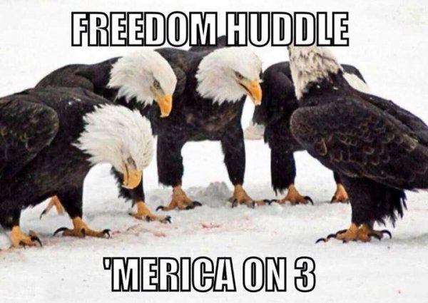 Freedom-Huddle.jpg