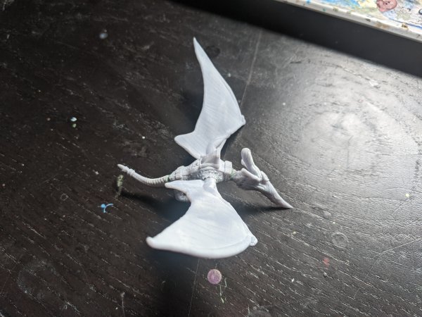 PXL_20210527_150927846.jpg PXL_20210527_150927846.jpg