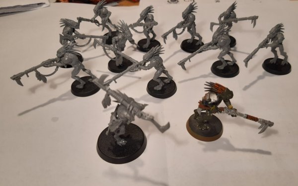 Kroot carnivores 2.jpg