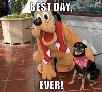 Goofy and dog.jpg