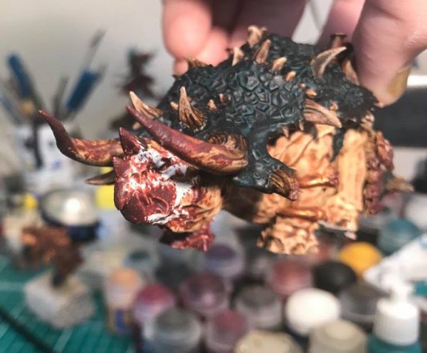 195338821_479053596516441_4050680352471962016_n.jpeg 195338821_479053596516441_4050680352471962016_n.jpeg