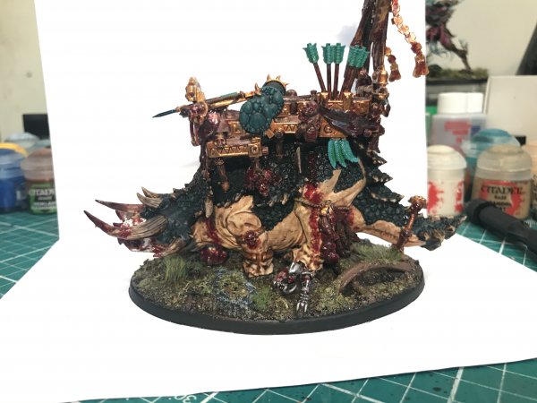 IMG_4002.jpeg IMG_4002.jpeg