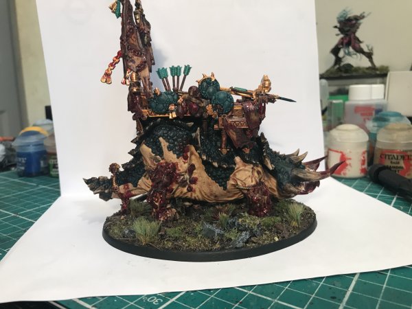 IMG_4004.jpeg IMG_4004.jpeg