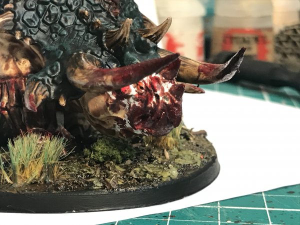 IMG_4006.jpeg IMG_4006.jpeg