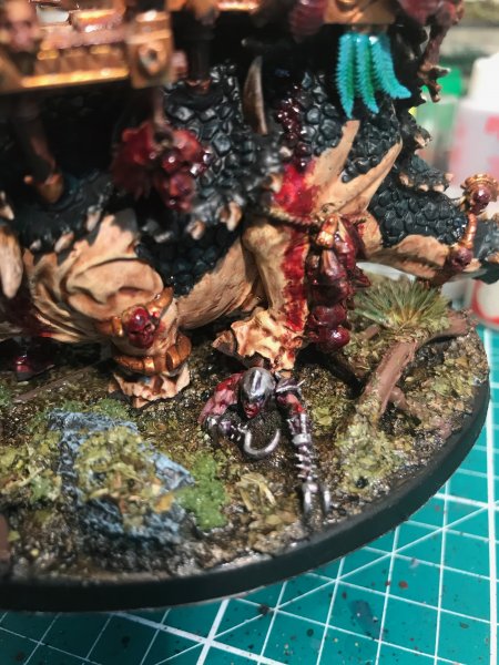 IMG_4013.jpeg IMG_4013.jpeg