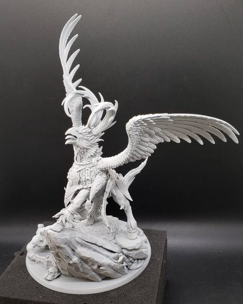 IMG_20210615_185611_605.jpg IMG_20210615_185611_605.jpg