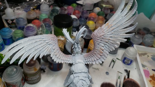 20210617_165506.jpg 20210617_165506.jpg