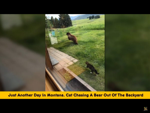 IMG_3374~photo.PNG IMG_3374~photo.PNG