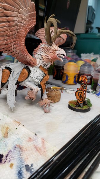 20210618_175735.jpg 20210618_175735.jpg