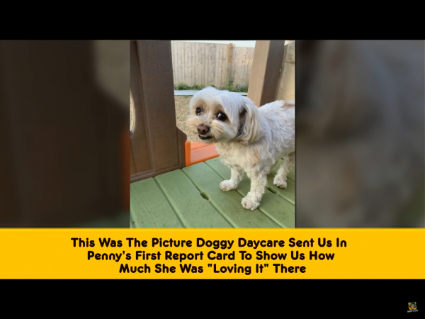 IMG_3375~photo.PNG IMG_3375~photo.PNG