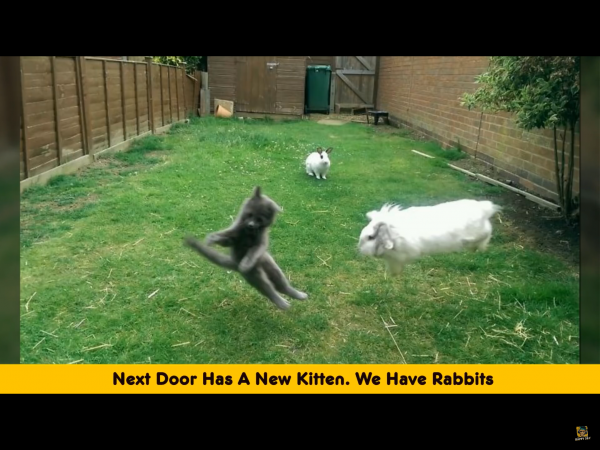 IMG_3376~photo.PNG IMG_3376~photo.PNG