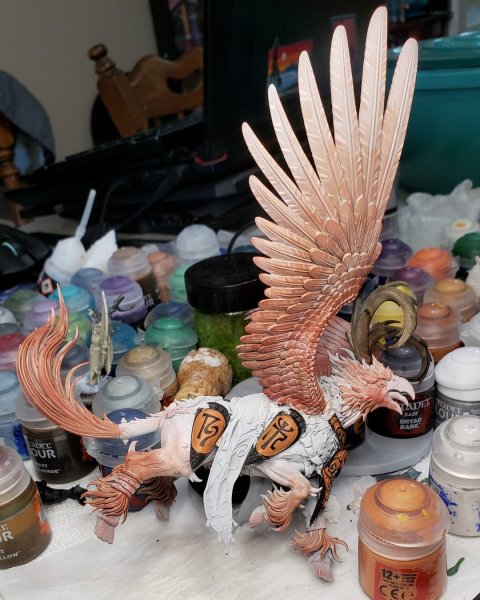 IMG_20210620_113356_989.jpg IMG_20210620_113356_989.jpg