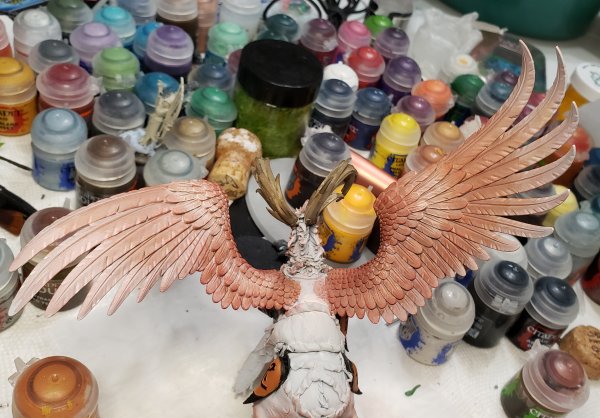 20210620_111756.jpg 20210620_111756.jpg