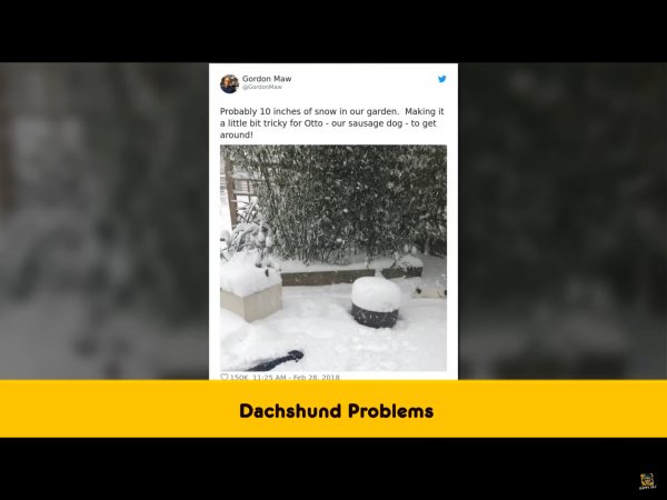 IMG_3378~photo.PNG IMG_3378~photo.PNG