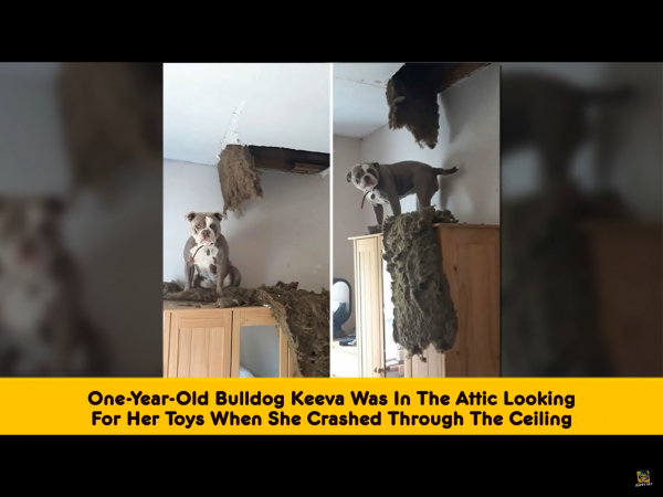 IMG_3379~photo.PNG IMG_3379~photo.PNG