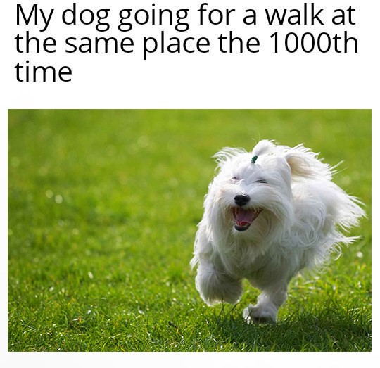 202734464_353450466152123_3725341767092975487_n.jpg 202734464_353450466152123_3725341767092975487_n.jpg