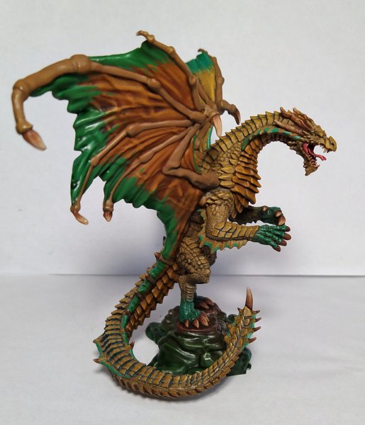 3_Front_AndClaws (1).jpeg