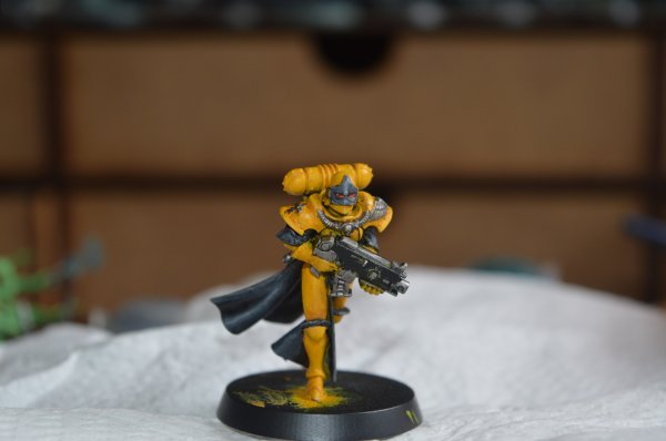 DSC_0612.jpg DSC_0612.jpg