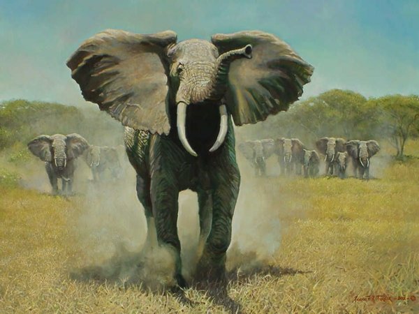 50c8a50ff91f8ae774e314e6b7a30a3d.jpg 50c8a50ff91f8ae774e314e6b7a30a3d.jpg