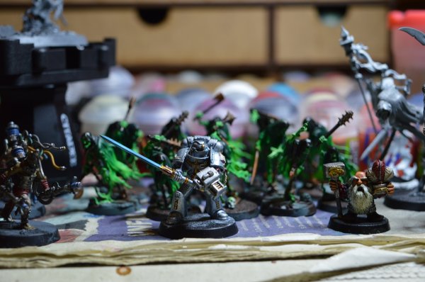 DSC_0742.jpg DSC_0742.jpg