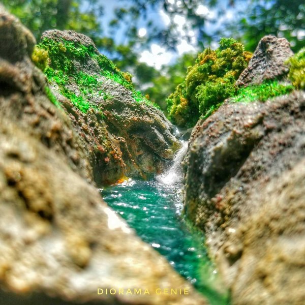 241502270_386700709751970_6636169601113783379_n.jpg 241502270_386700709751970_6636169601113783379_n.jpg