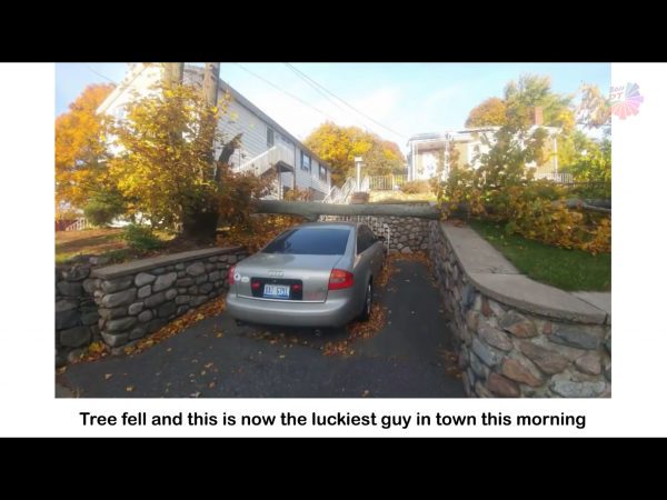 IMG_3698~photo.PNG IMG_3698~photo.PNG