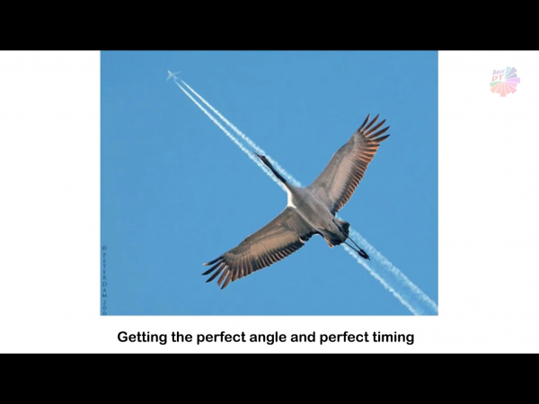 IMG_3685~photo.PNG IMG_3685~photo.PNG