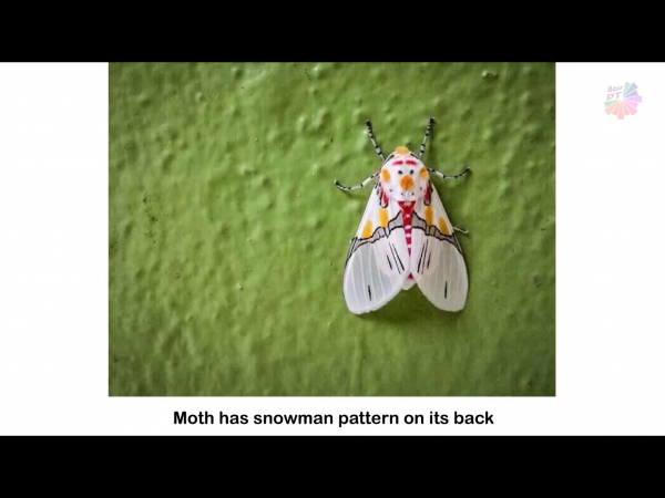 IMG_3684~photo.PNG IMG_3684~photo.PNG