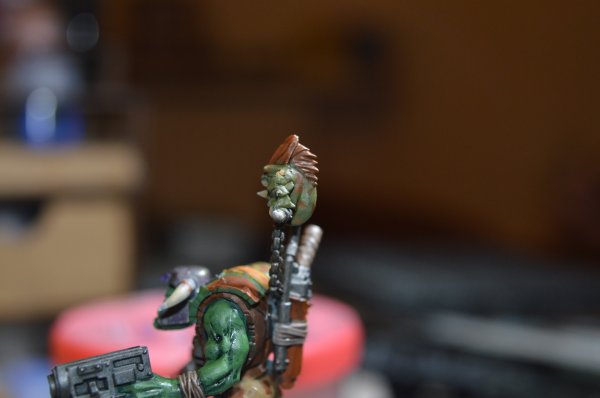 DSC_0766.jpg DSC_0766.jpg