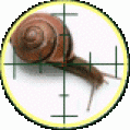 SteelSnail