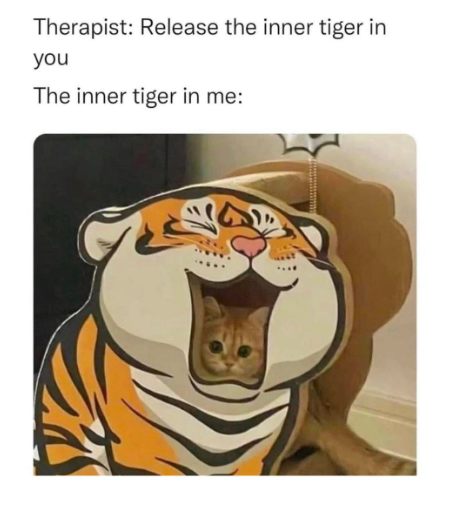 therapist-release-inner-tiger-inner-tiger