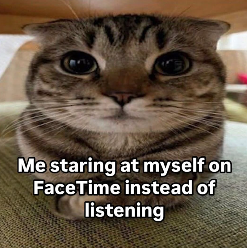 Me staring at myself on FaceTime instead of listening