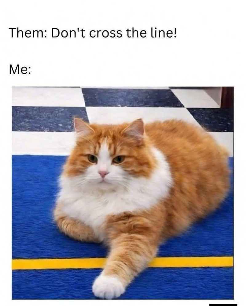 them-dont-cross-line